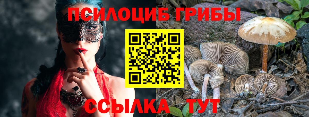 Галлюциногенные грибы прущие грибы Янаул