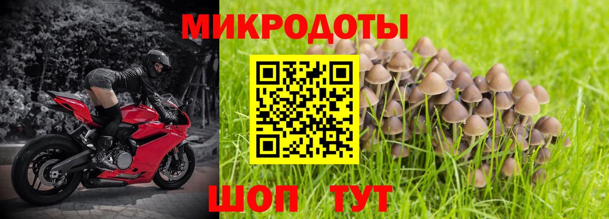 Янаул  Галлюциногенные грибы GOLDEN TEACHER  Вход с VPN 